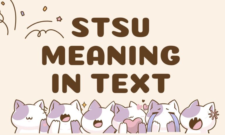 STSU Meaning in Text