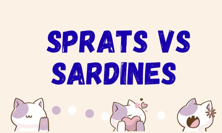 Sprats vs Sardines