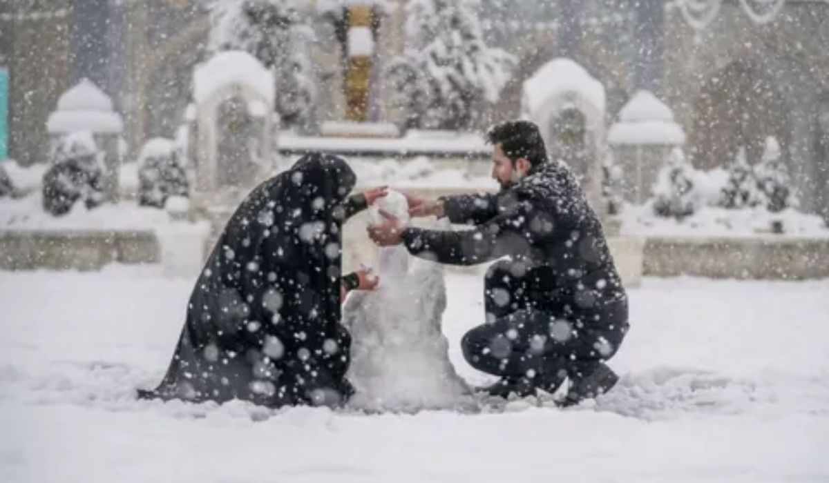 Snowball Kiss Meaning