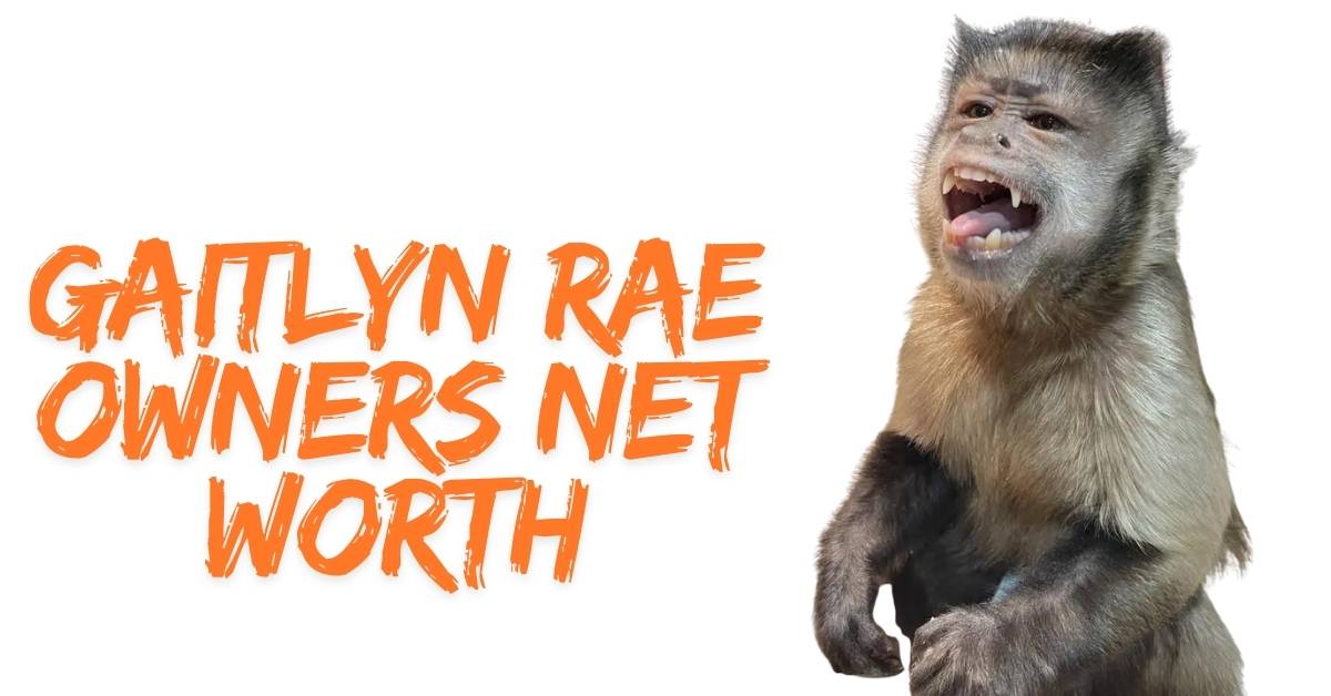 Gaitlyn Rae Owners Net Worth